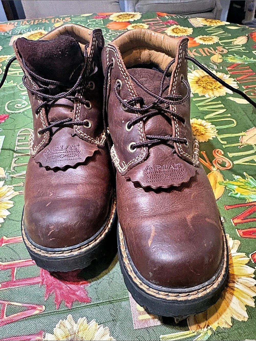 Ariat Canyon Lace-Up Work Boot Leather US 6.5B Brown